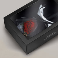 Preserved Rose Bundle - Classic Red (Black Wrapper)