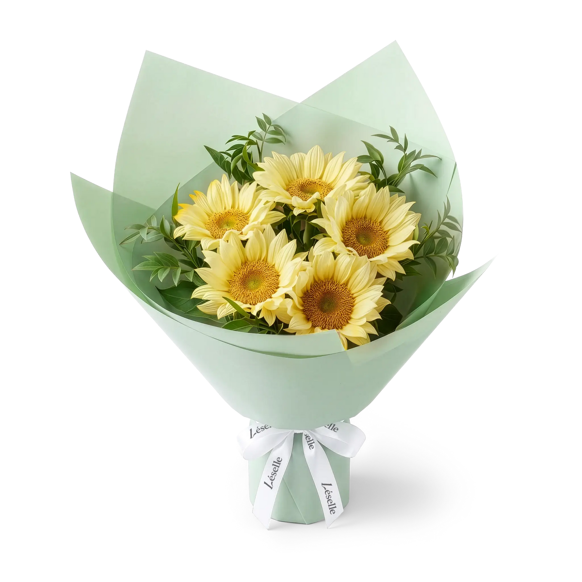 Bouquet of cream-colored sunflowers wrapped in pale green paper with a white ribbon on a transparent background
