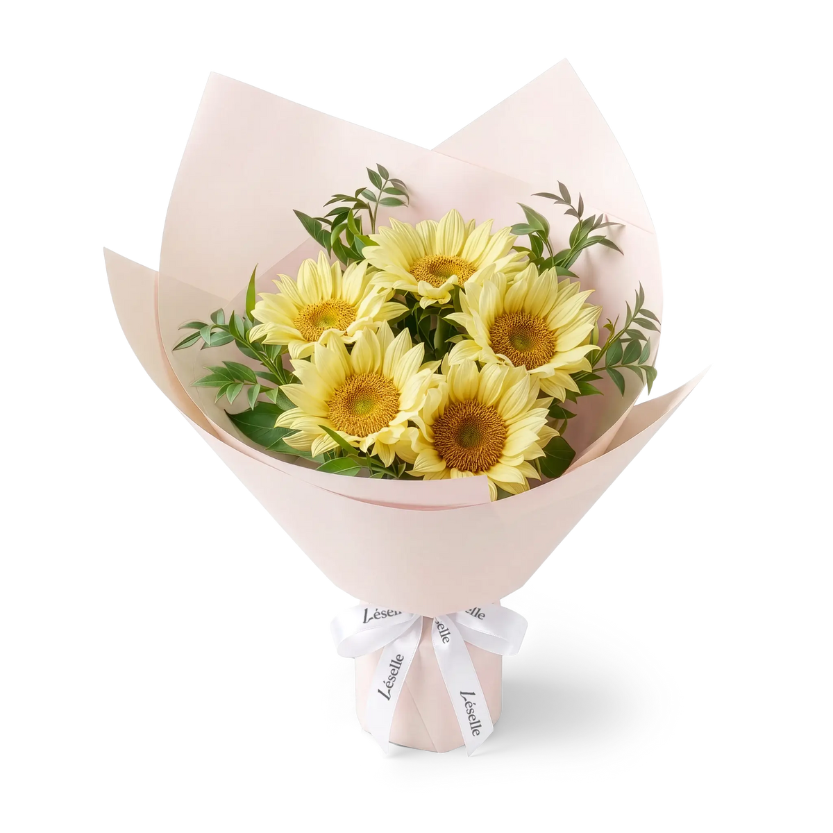 Bouquet of cream-colored sunflowers wrapped in pale pink paper with a white ribbon on a transparent background