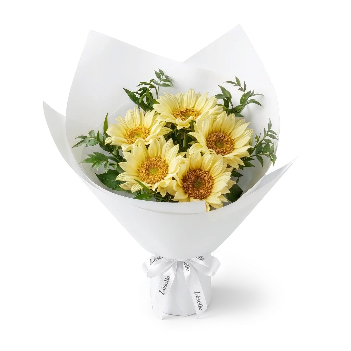 Bouquet of cream-colored sunflowers wrapped in white paper with a white ribbon on a transparent background