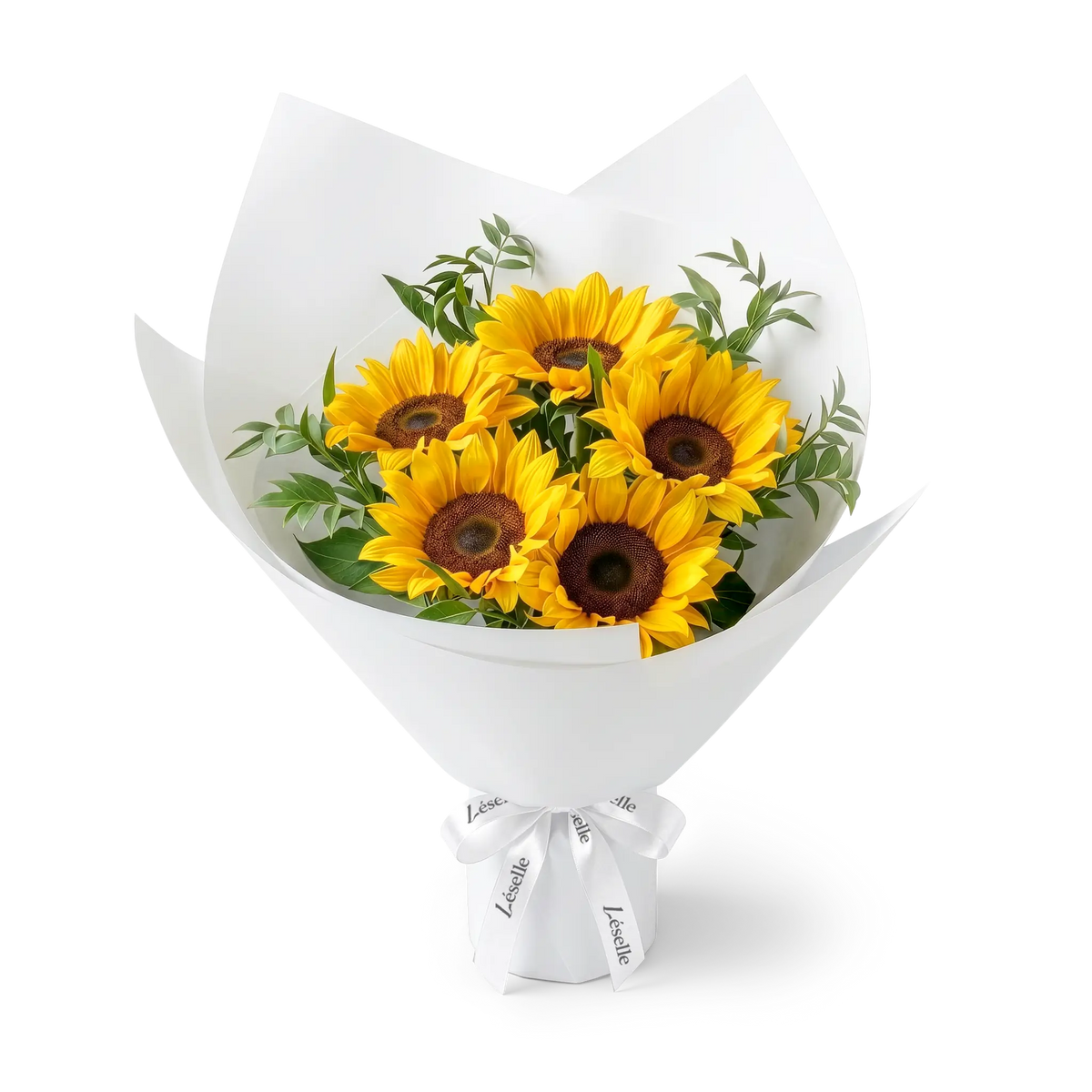 Bouquet of black-heart sunflowers wrapped in white paper with a white ribbon on a transparent background