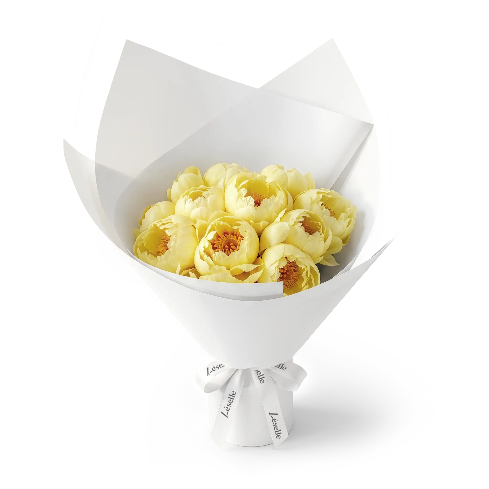 Bouquet of yellow peonies wrapped in white paper with a white ribbon on a transparent background