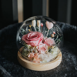 Preserved Flowers in Glass Dome 玫瑰永生花玻璃罩擺設